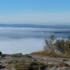 Nebel unter dem Schneeberg