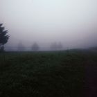 Nebel V