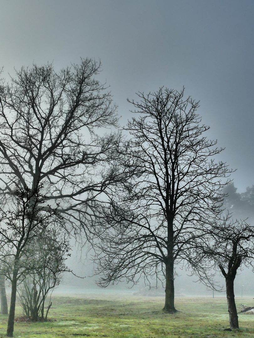 Nebel verändert die Sicht 