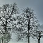 Nebel verändert die Sicht 