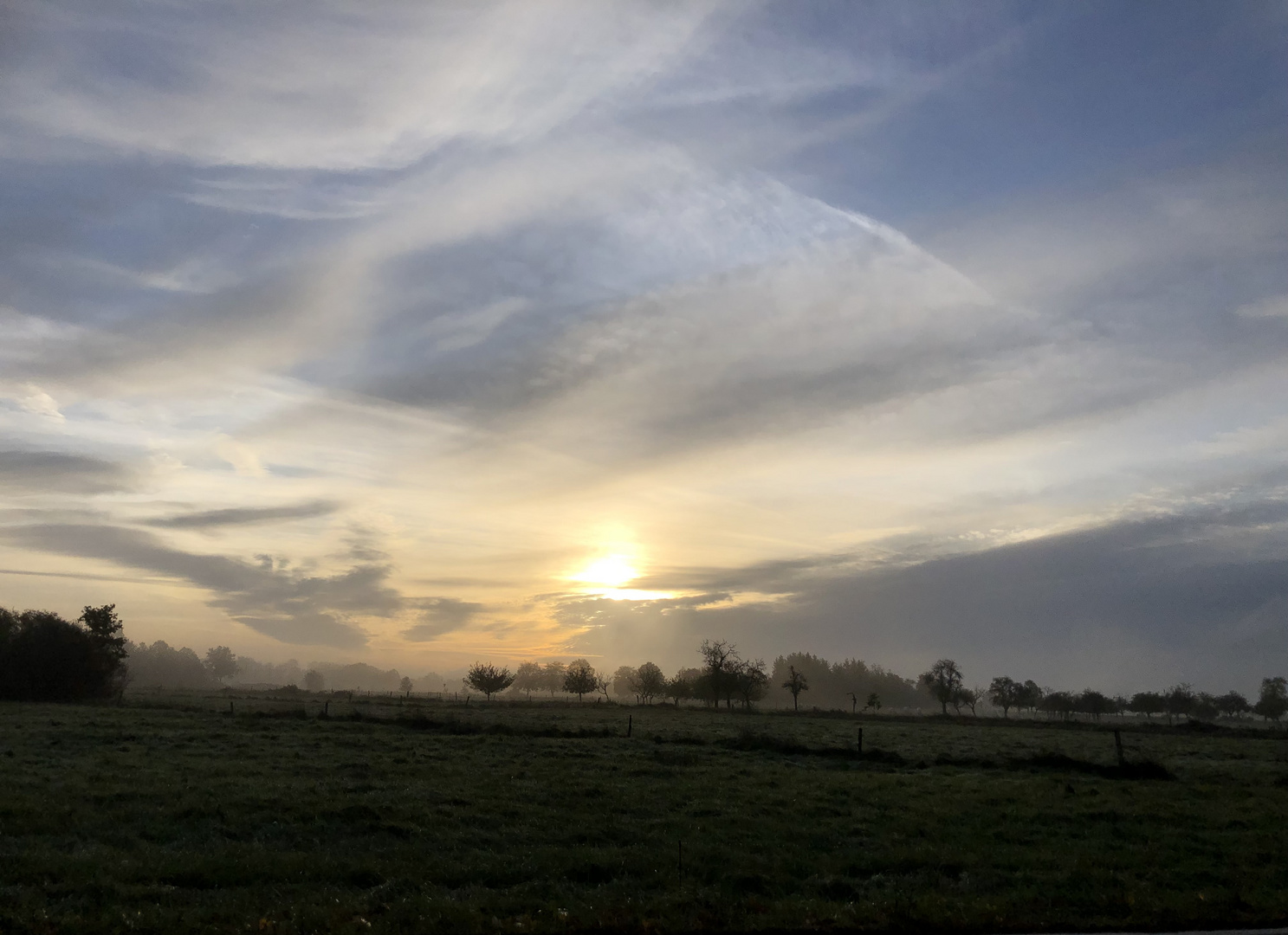 Nebel verhangene Wiese 