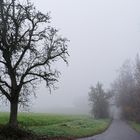 Nebel verschlingt die Landschaft