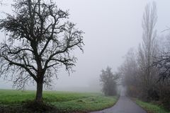 Nebel verschlingt die Landschaft