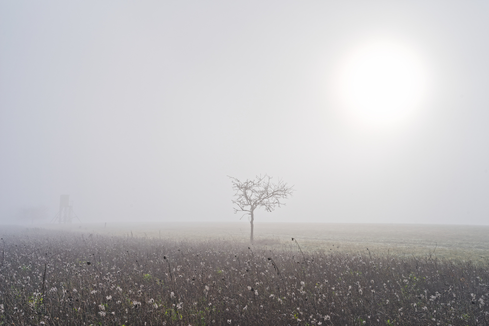 Nebel verschlingt die Landschaft