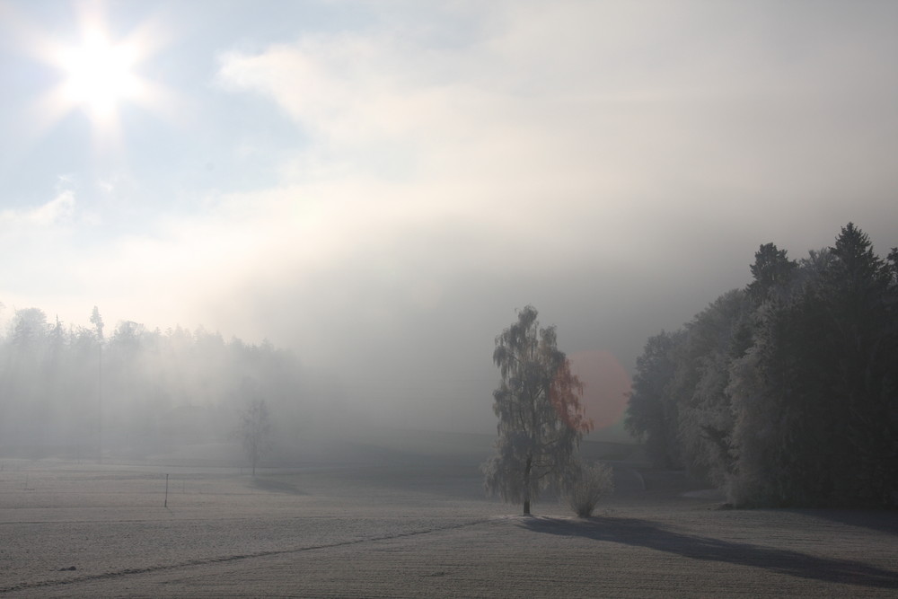 Nebel verzaubert die Welt