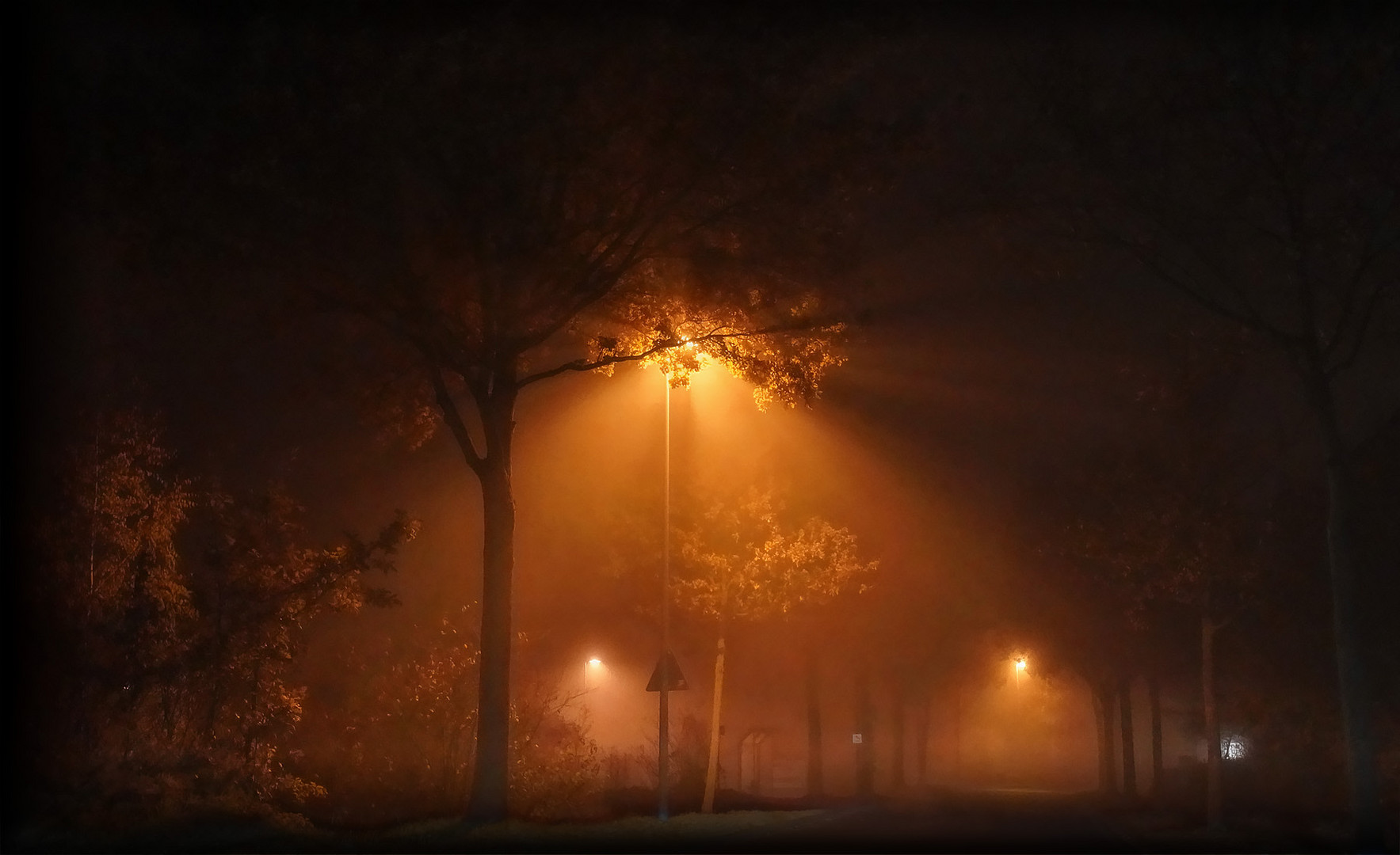 nebel vom samstag ...