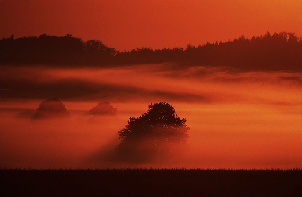 Nebel von der Sonne geküsst