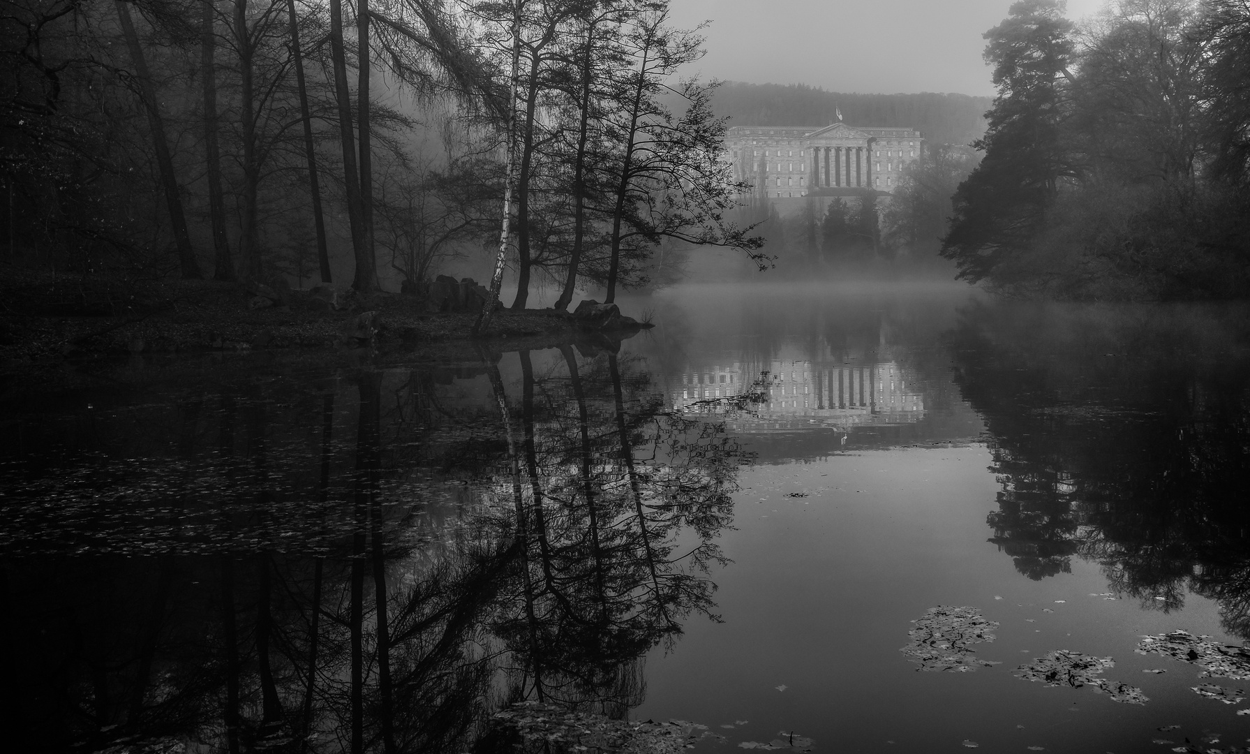 Nebel vor dem Schloss 