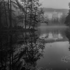 Nebel vor dem Schloss 