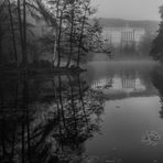 Nebel vor dem Schloss 