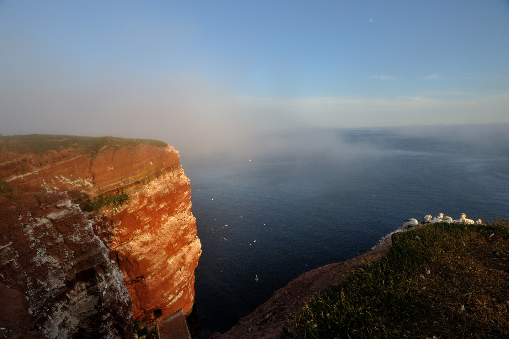 Nebel vor Helgoland