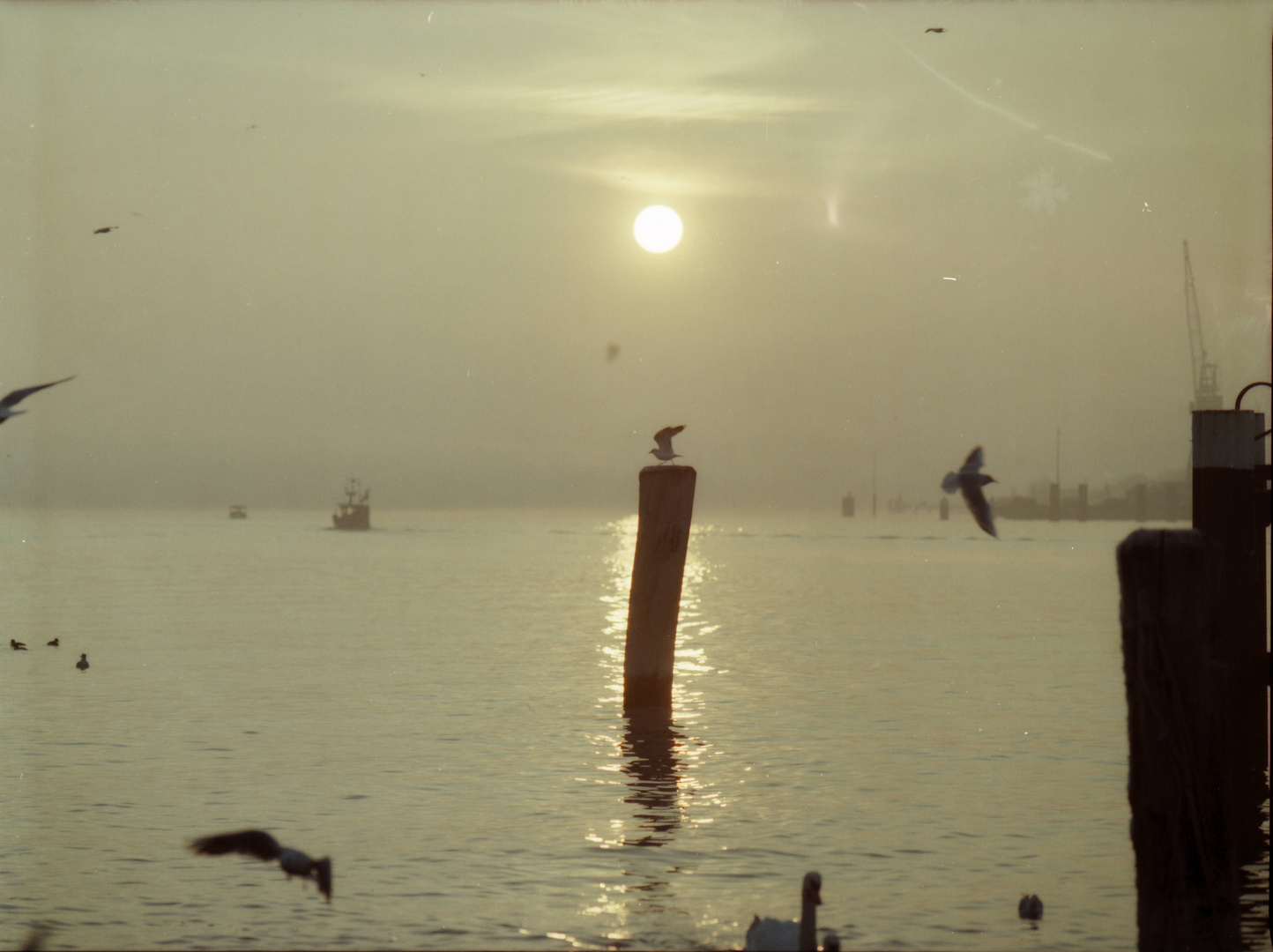 Nebel vor Sonnenuntergang