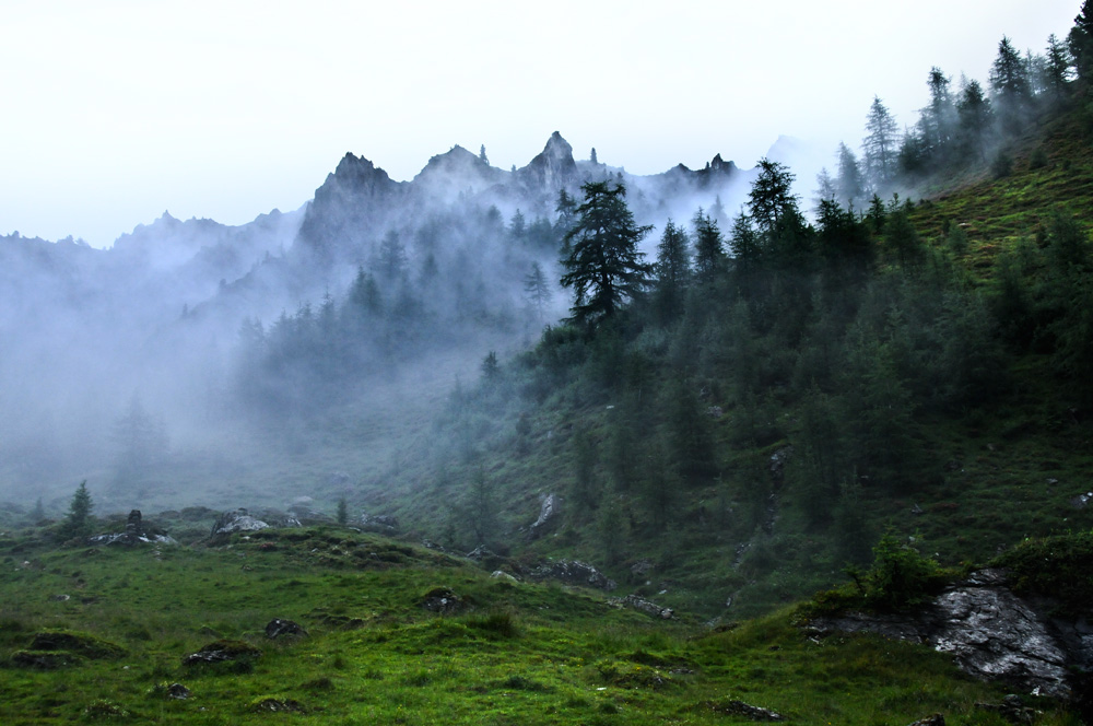 Nebel vorm Hochfeld - Dauernieselregen auf dem Weg zur Bärentalalm