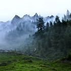 Nebel vorm Hochfeld - Dauernieselregen auf dem Weg zur Bärentalalm