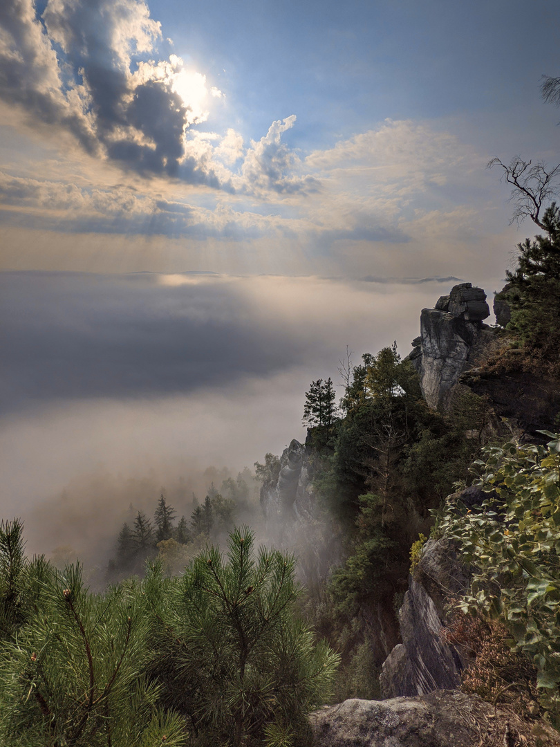 Nebel vorm Lilienstein