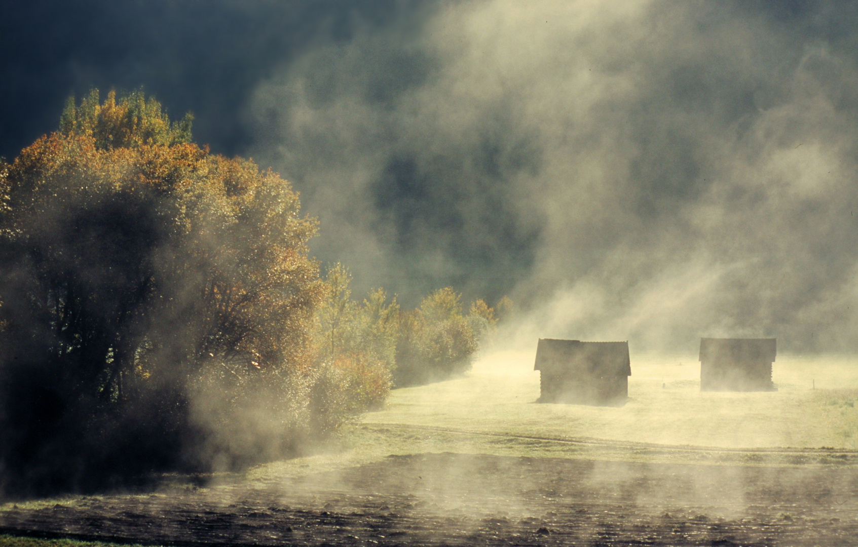 Nebel wallen