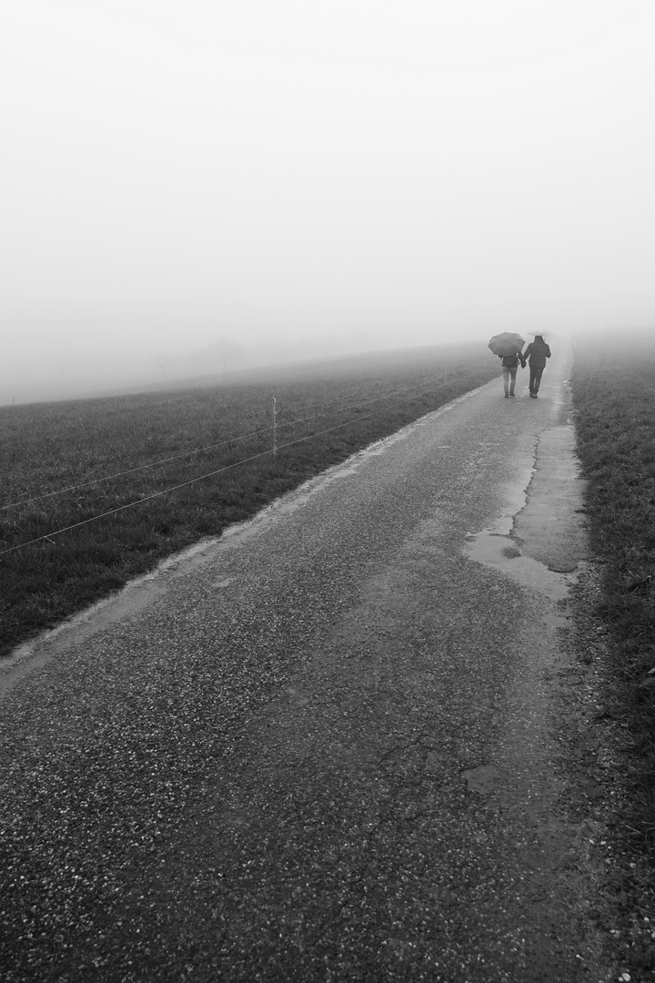 Nebel- Wanderung...
