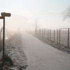 Nebel  ~ wegweiser