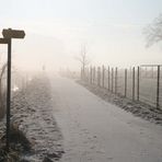 Nebel  ~ wegweiser