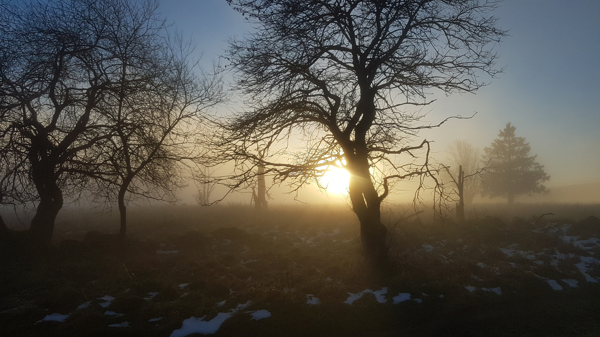 Nebel-Welt in der Rhön 