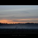 Nebel Welten, Auf dem Weg zur Arbeit