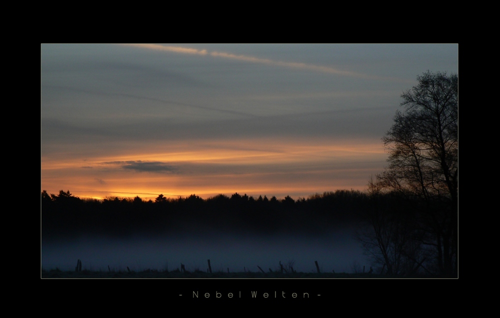 Nebel Welten, Auf dem Weg zur Arbeit;) *reloadet*