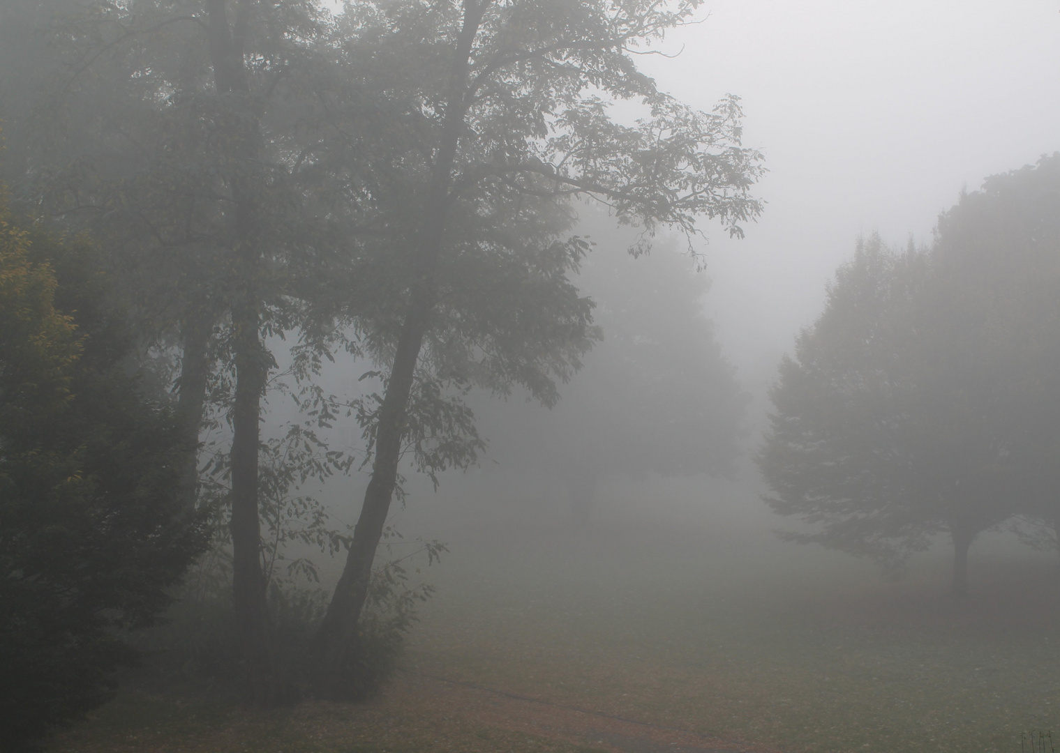 Nebel wie im Edgar Wallace