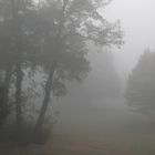 Nebel wie im Edgar Wallace