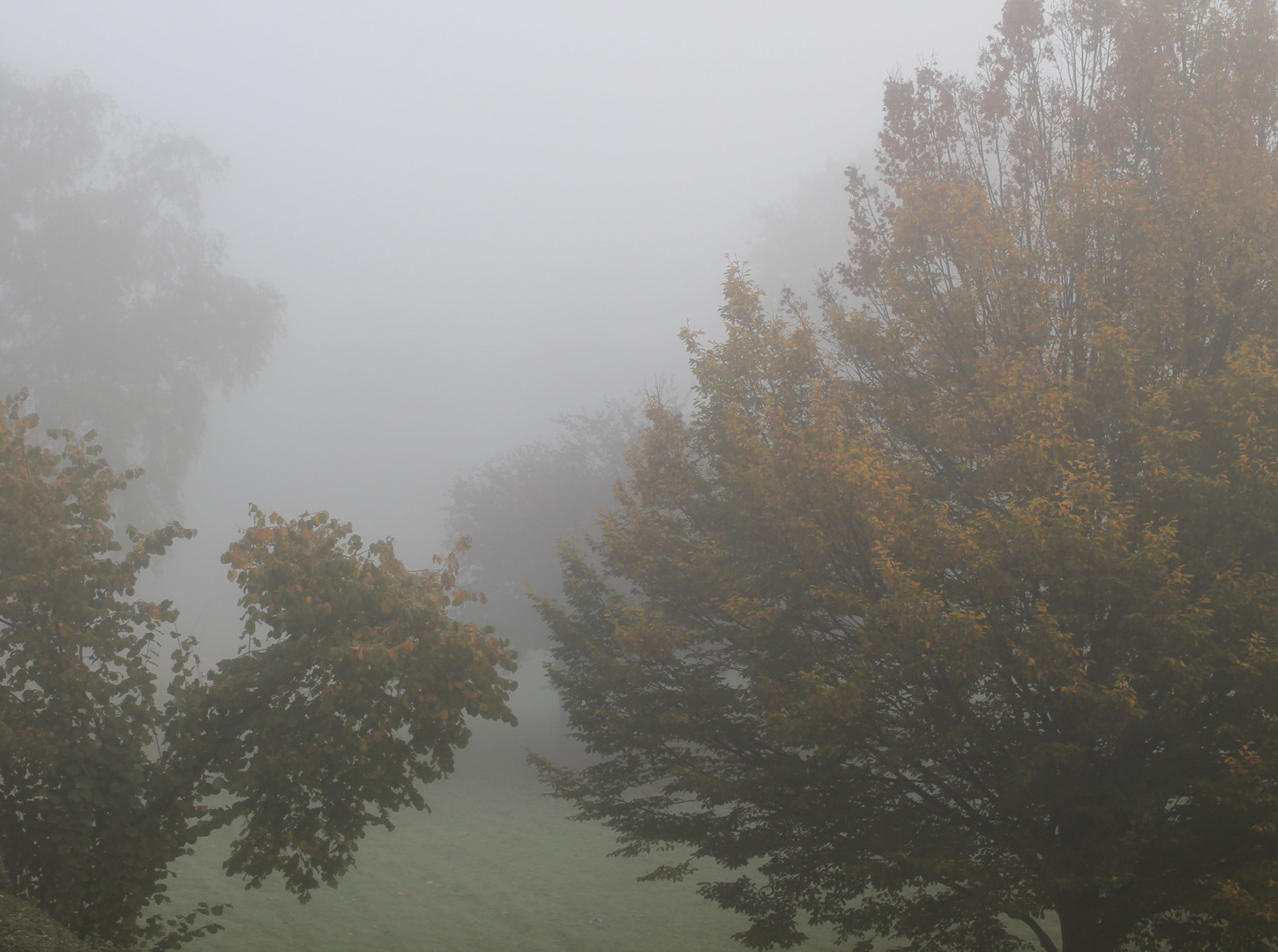 Nebel wie im Edgar Wallace Teil2