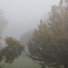 Nebel wie im Edgar Wallace Teil2