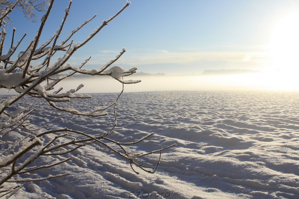 nebel-winterlich(t)