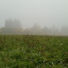 Nebel wohin man sieht .....