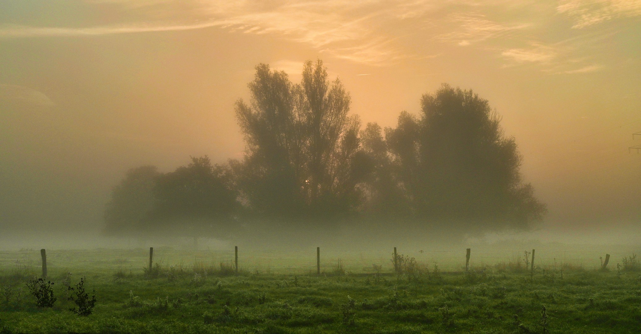 Nebel-Wunderland