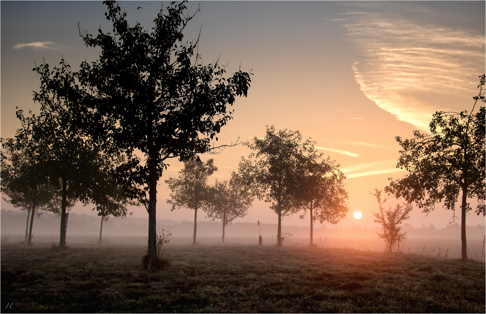 Nebel zaubern in der Lichtung