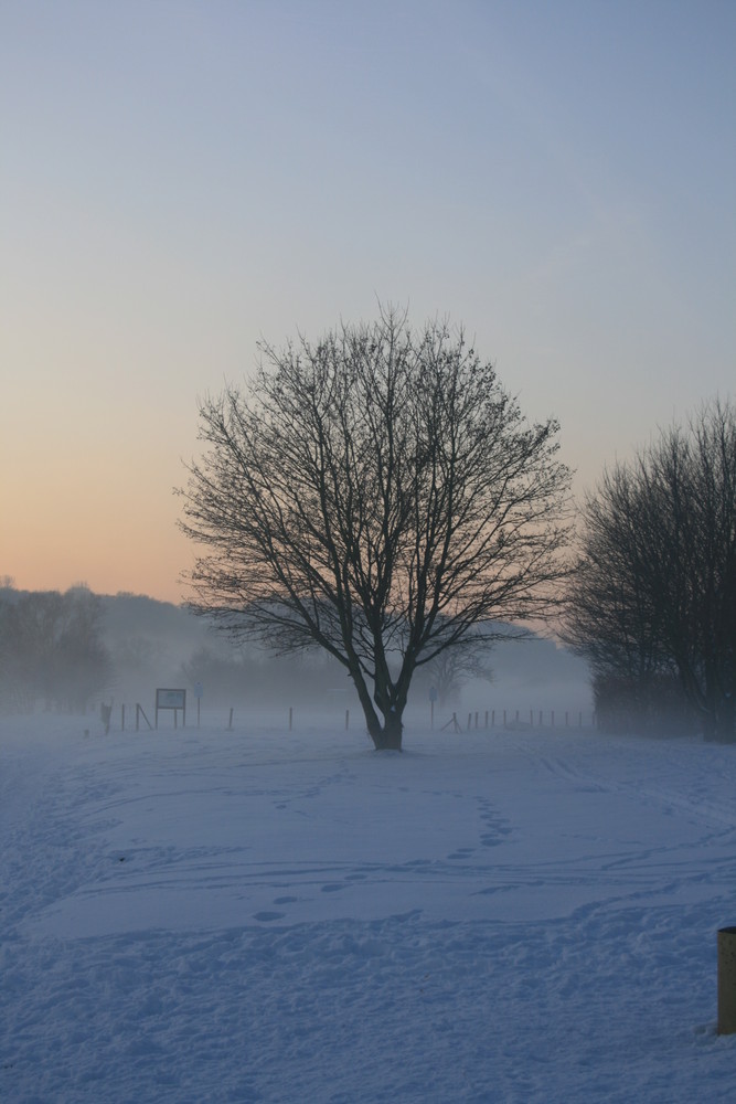 Nebel zieht auf