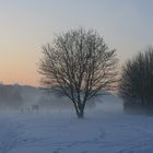 Nebel zieht auf