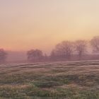 Nebel zieht auf