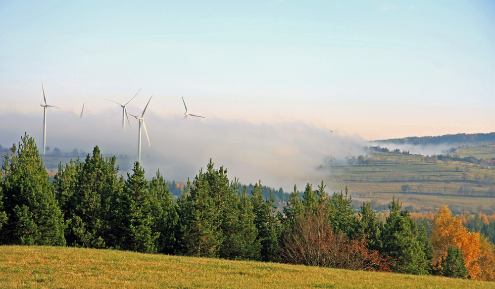 Nebel zieht auf