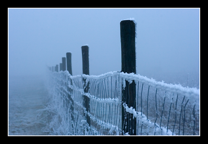 Nebel zieht auf