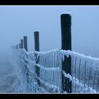 Nebel zieht auf