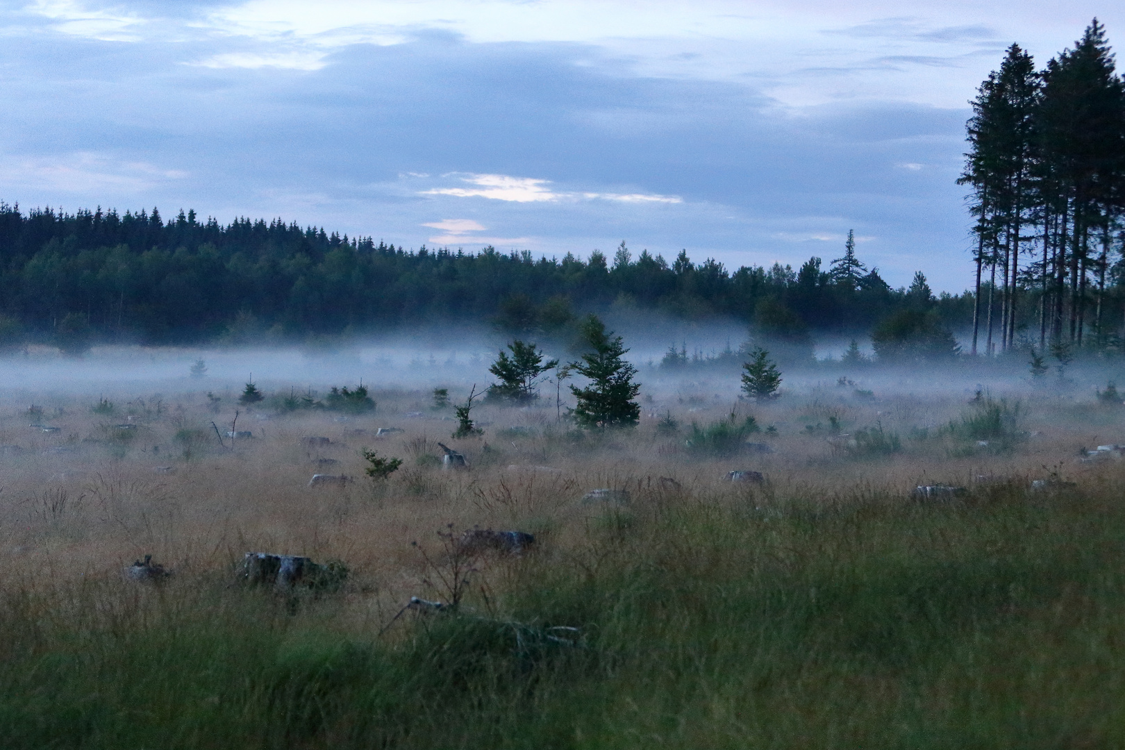 Nebel zieht auf 