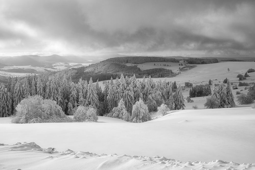 Nebel zieht auf....