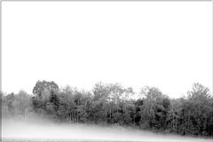 Nebel zieht auf
