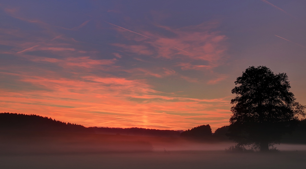 Nebel zieht auf