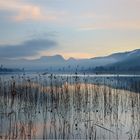 Nebel zieht auf