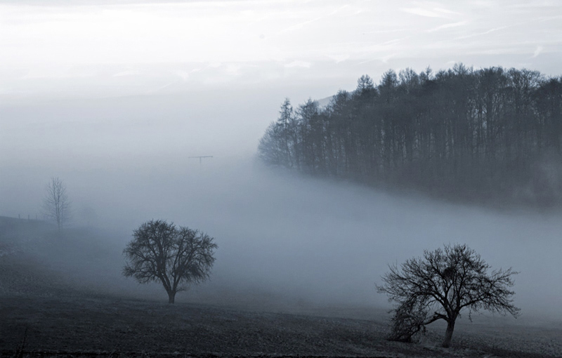 Nebel zieht auf