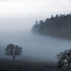 Nebel zieht auf