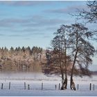 Nebel zieht auf