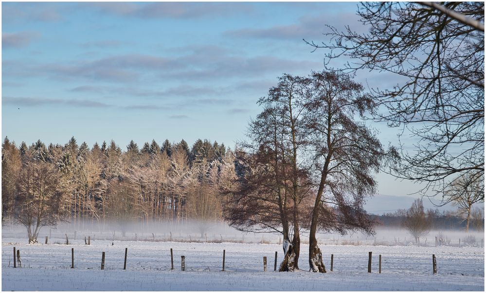 Nebel zieht auf