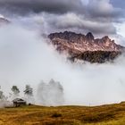 nebel zieht auf